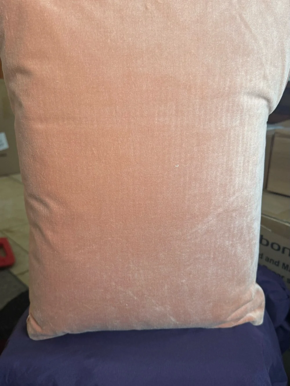 Plush Velvet Decorative Pillow in Peach